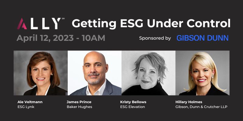 ALLY ESG Council