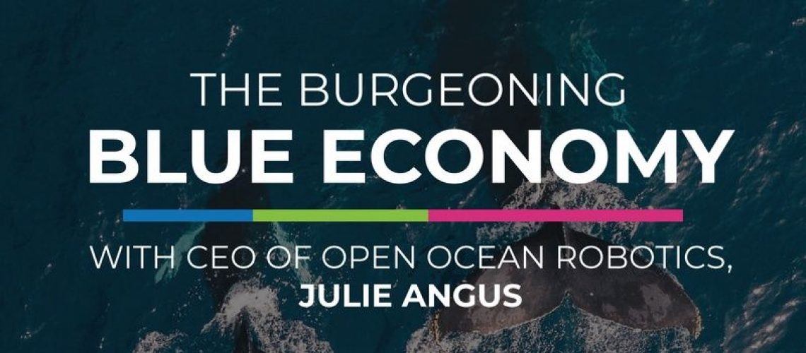 The Burgeoning Blue Economy
