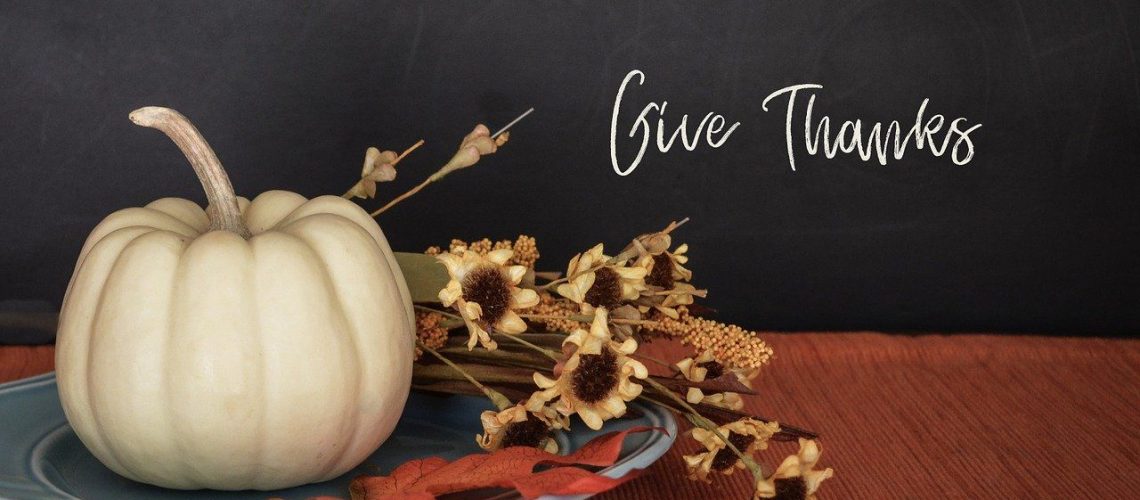 Why Sustainability is the Best Way to Give Thanks